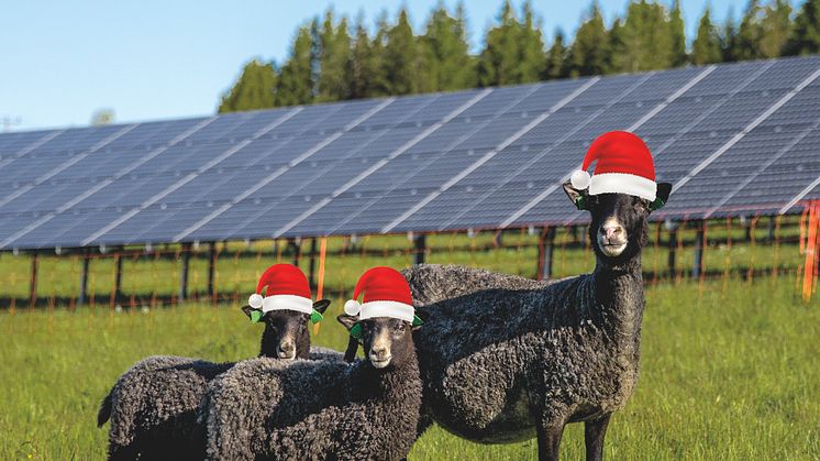 Investera i en lokalproducerad och hållbar julklapp - solabonnemang i Solhagen i Torphyttan. Fotomontage: Linde energi.