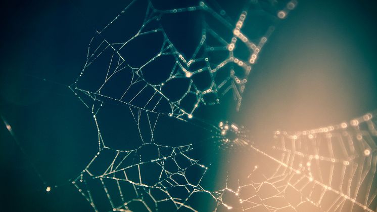 Melde dich an zum Webinar: Denkfehler erkennen!