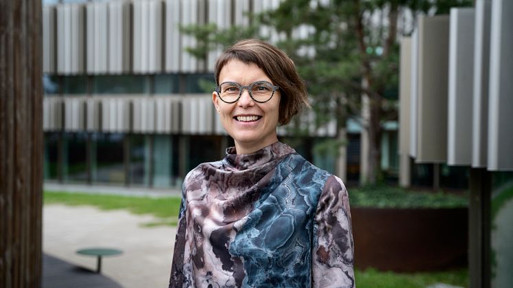 professor i medie- och kommunikationsvetenskap vid Malmö Universitet