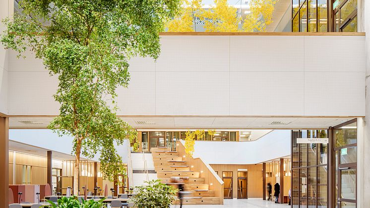 Natrium, Göteborgs universitet, LINK Arkitektur