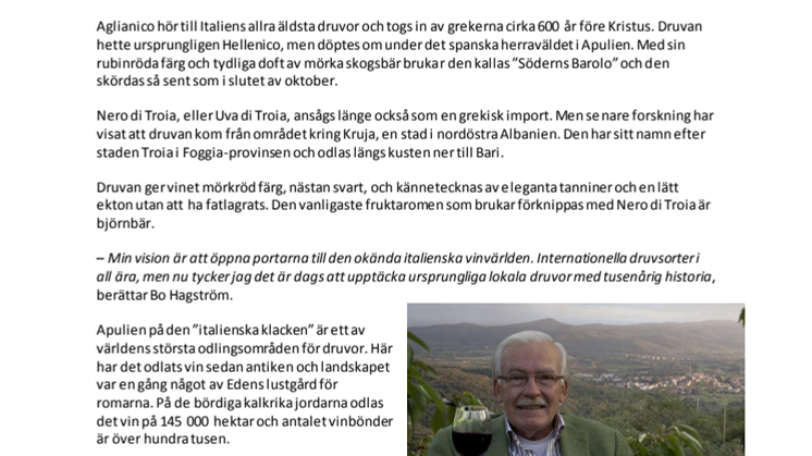 SOLENS VIN
