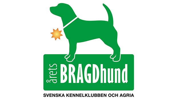 Nominera Årets bragdhund 2015