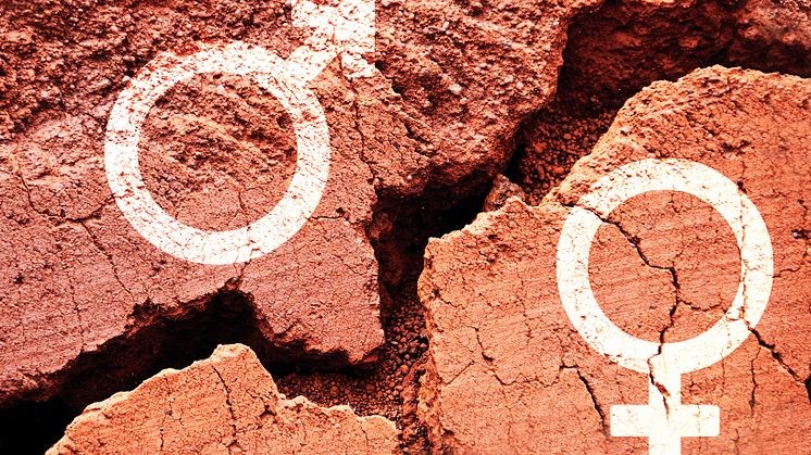 Tackling Gender Based Violence in Universities