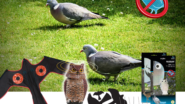 Håll nedskräpande fåglar borta!