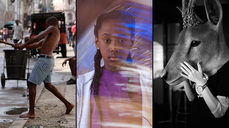 Bilder från filmerna Ghost Town to Havana, The Fits och Oh Deer!