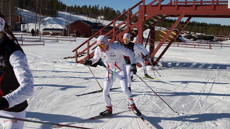 Piteå ansöker om World Cup i längdskidor
