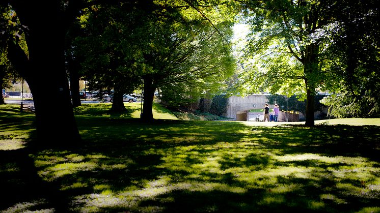 Vasaparken i Västerås är en av många platser som betyder något för många. Vad tycker du?