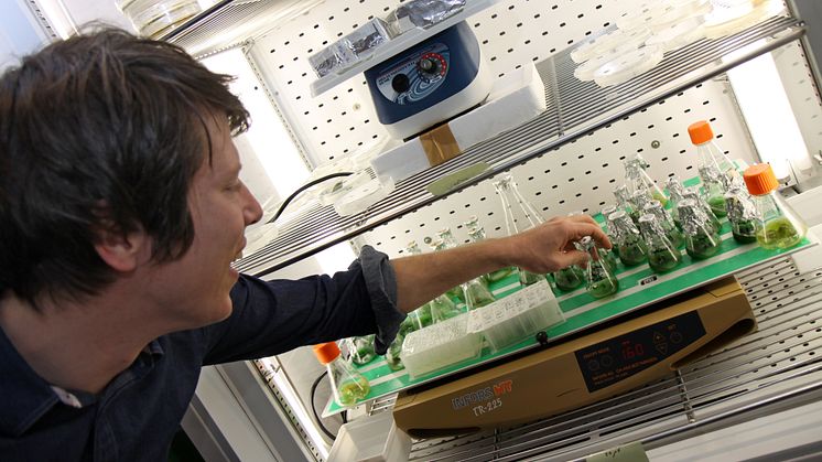 ​Biohackare boostar hjärnan med batterier