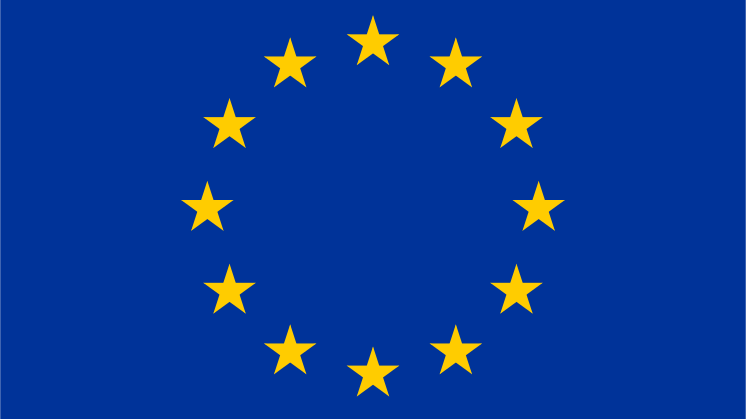 Expertlista om EU-valet 26 maj 2019
