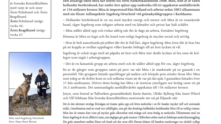 Mira är Årets Narkotikasökhund