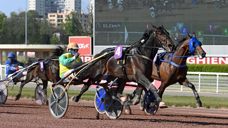 Vivid Wise As är inbjuden till Elitloppet 2021 efter gårdagens seger i Prix de l'Atlantique. Foto: Gerard Forni