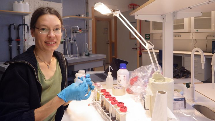 Med hjälp av eDNA kan vi spåra hotade mollusk- och kräftarter, säger Sonja Leidenberger, lektor i biovetenskap vid Högskolan i Skövde 