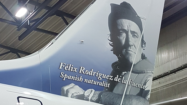 Rodríguez de la Fuente - Boeing 737 MAX 8 - detalle babor 2