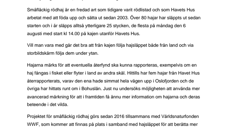Havets Hus fyller 25 år och släpper ut 25 hajar i havet 