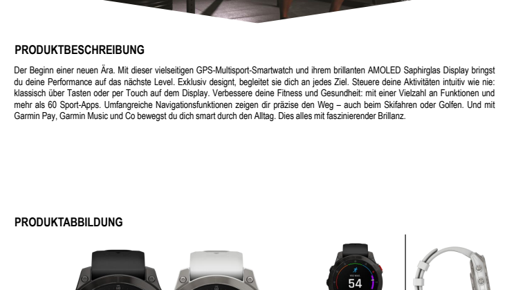 Garmin Datenblatt epix Serie FH