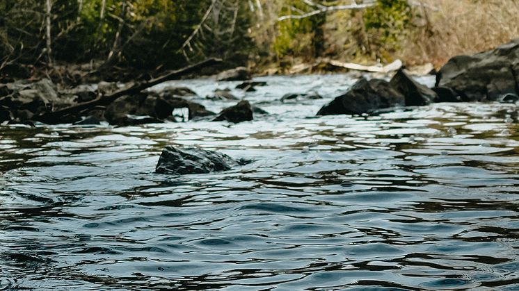 Svevia ska utföra riskreducerande åtgärder på en brant slänt längs väg 573 som löper längs Lögdeälven.