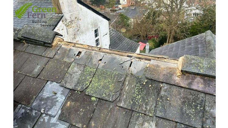 Roofing Anomalies Identified During Complimentary Assessment by Green Fern Building Services