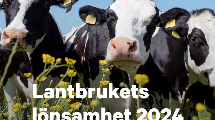 Framsida Lantbrukets Lönsamhet 2024.PNG