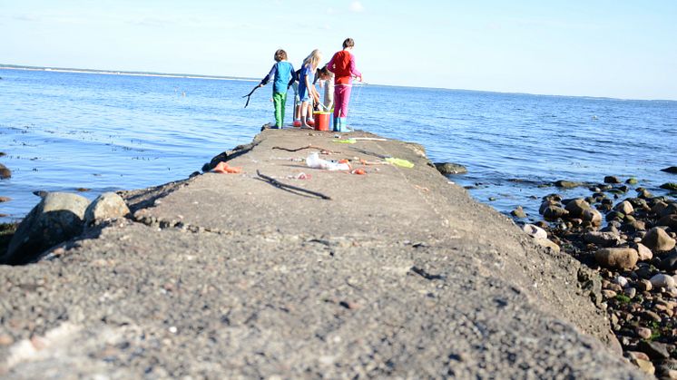Krabbfiske under sommarkollot i Magnarp.