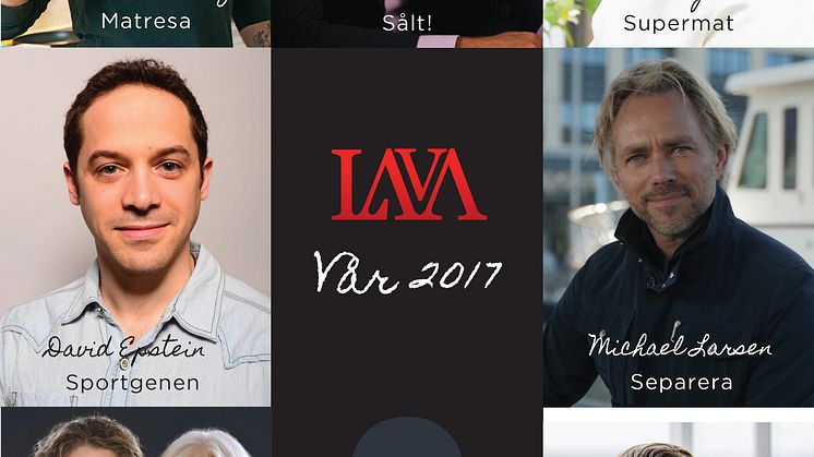 Lava förlags katalog vår 2017