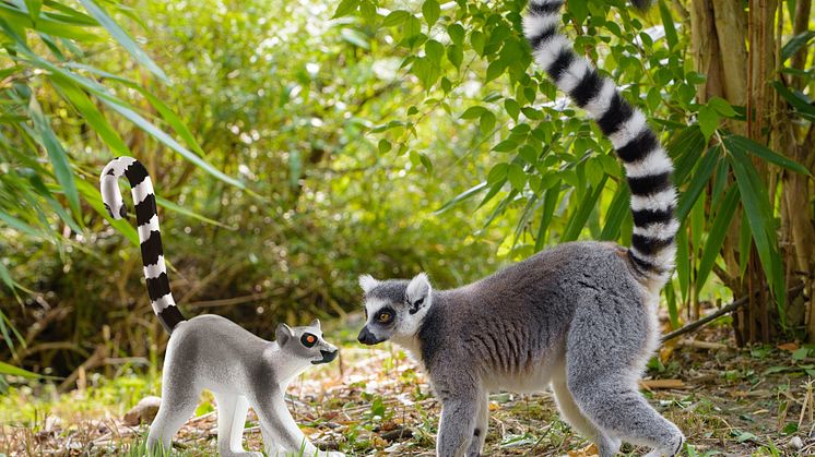 Tierischer Spaß im Zoo Duisburg