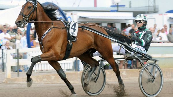 Sanity inbjuden till Elitloppet 2012
