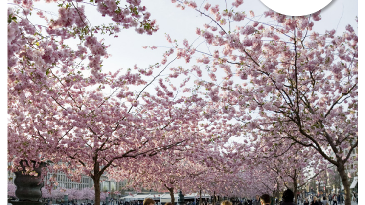 Facts: About Stockholm Tourist Industry 2012