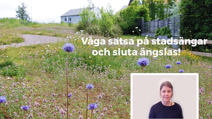 ”Våga satsa på stadsängar och sluta ängslas"