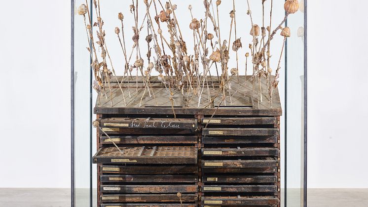 Anselm Kiefer -  Opus Magnum – Mohn Und Gedächtnis - 2014