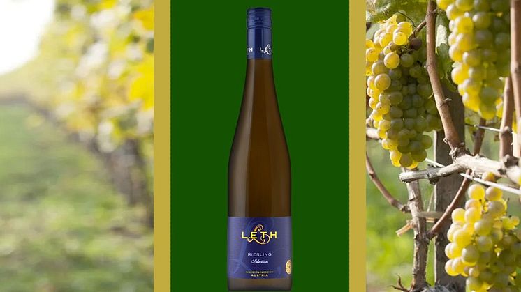 Nyhet – Weingut Leth lanserar Leth Riesling Selection i alla butiker 1 september 2022