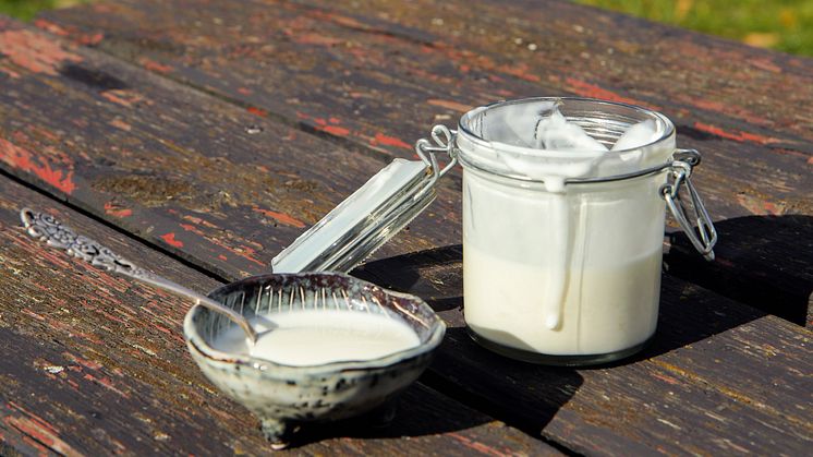 Lines yoghurt