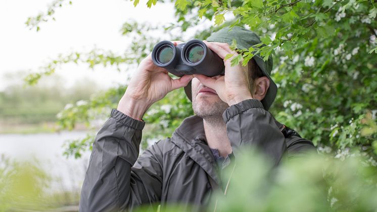 Kaikissa Canonin lintukiikareissa on tarkka optiikka ja optinen kuvanvakain