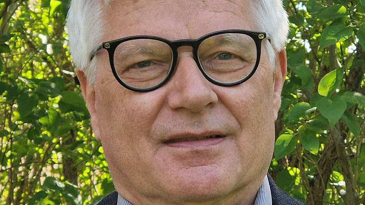 Johan Svedjedal