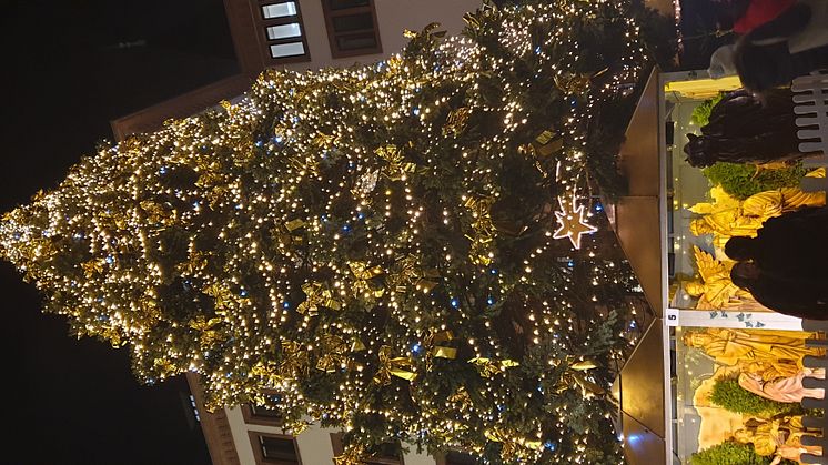 7. Weihnachtsbaum in Wiesbaden
