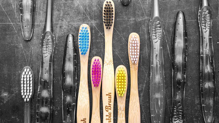The Humble Brush