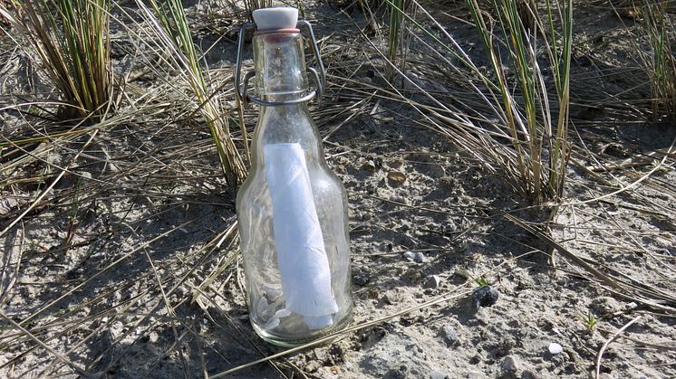 Tausende Menschen helfen bei der Suche nach Absenderin einer Flaschenpost auf der Ostseeinsel Fehmarn