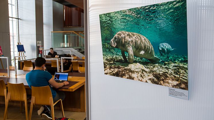 „Aquatische Begegnungen“ in der Wildauer Hochschulbibliothek