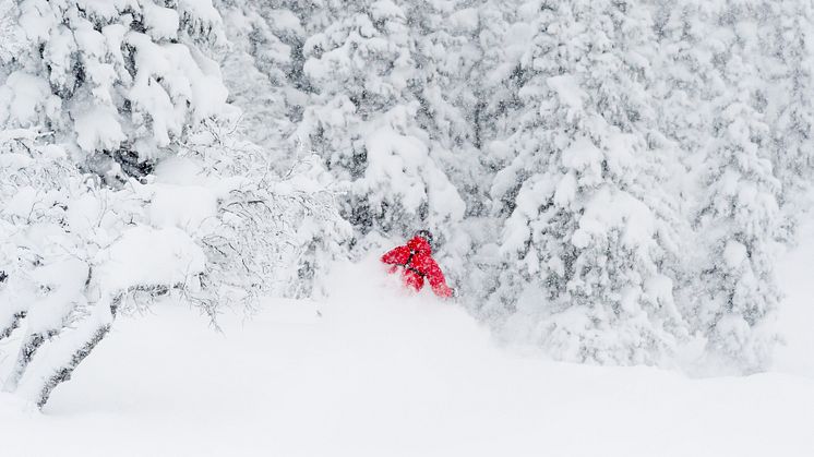 Trysil - pudderbild