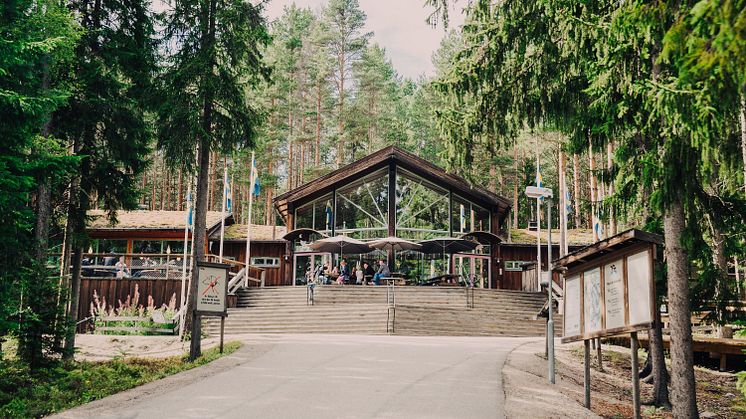 Avd Gävleborg inbjuder till Rocka sockorna på Järvzoo