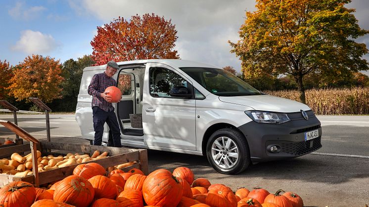 Caddy 5 Cargo