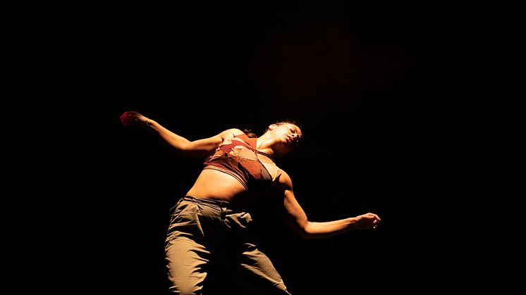 Company Nicolas Huchard - The barefoot diva