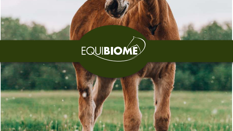 Equibiome Broschyr 2023 OCT.pdf