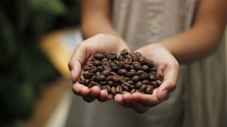 Kaffebönor finns i olika sorter
