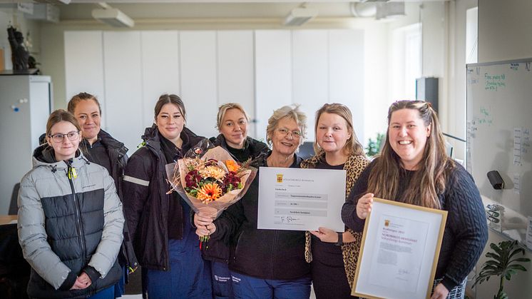 Nordrikets hemtjänst PM