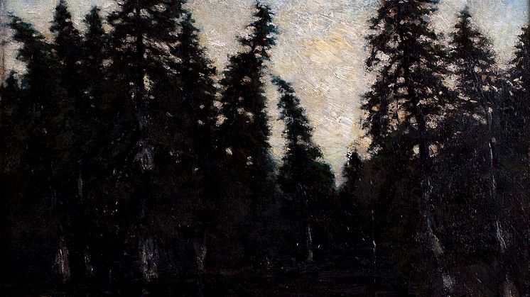 Carl Fredrik Hill, Svarta granar, 1878. 
