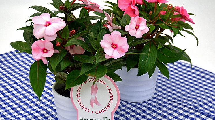 Dagens Rosa Produkt 15 oktober - en Lyckliga Lotta från Mäster Grön