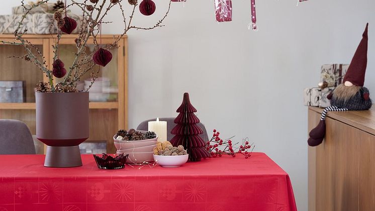 Christmas 2020 (13)