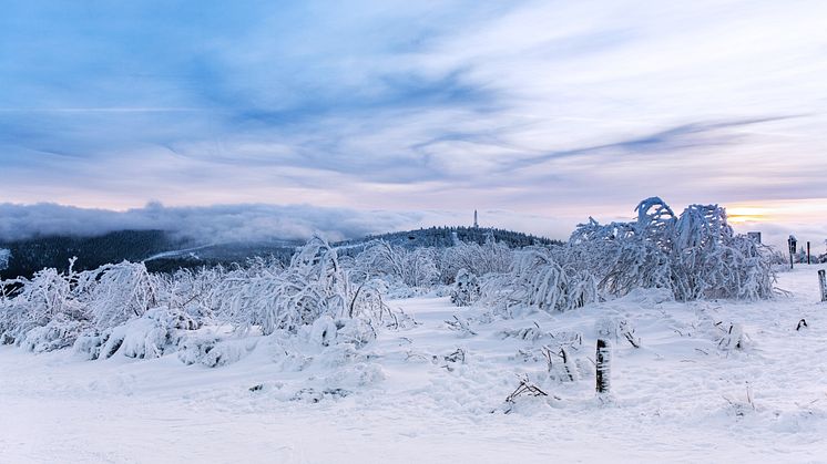 Winterlandschaft auf dem Fichtelberg (Foto: TVE/Bernd März)