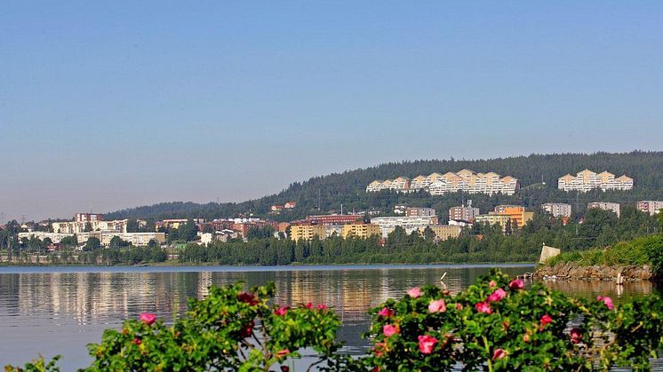 Timrå blir en del av den regionala inkubatorn