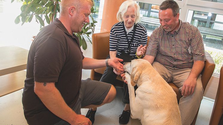 Therapiehund im Einsatz